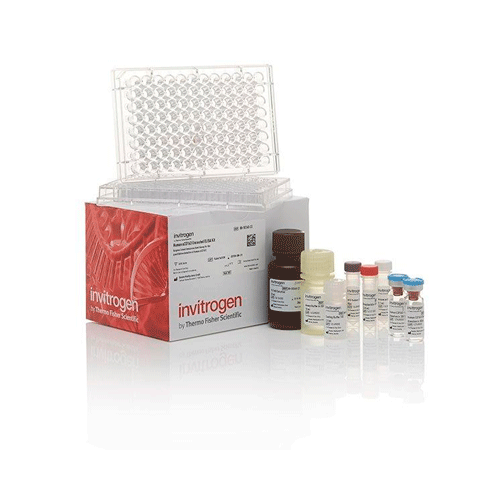 26899. IL-6 MOUSE UNCOATED ELISA KIT 10 X 96 TESTS INVITROGEN