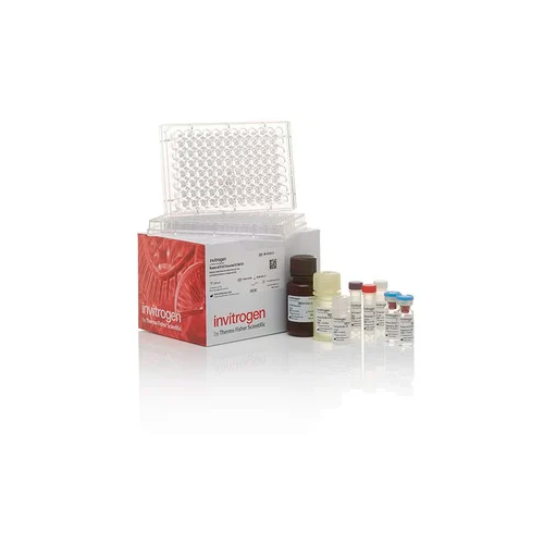 19992. IL-6 HUMAN UNCOATED ELISA KIT 10 X 96 TESTS - EBIOSCIENCE