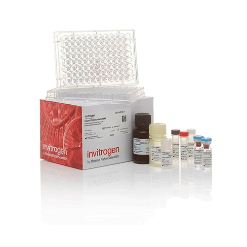 26891. IL-8 HUMAN UNCOATED ELISA KIT 10 X 96 TESTS INVITROGEN