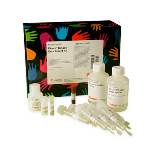 18221. KINASE ENRICHMENT KIT WITH ATP PROBE 16RXN - THERMO SCIENTIFIC ...