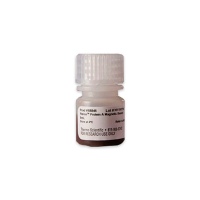 53307. PERLAS MAGNETICAS DE PROTEINA A  5ML - PIERCE