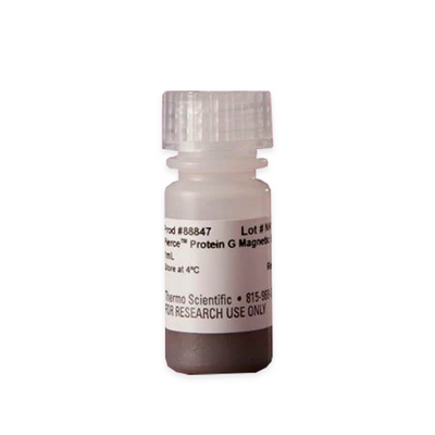 52915. PERLAS MAGNETICAS DE PROTEINA G 1ML - PIERCE
