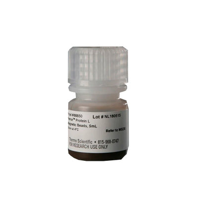 53306. PERLAS MAGNETICAS DE PROTEINA L  5ML - PIERCE