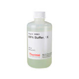 52939. RIPA BUFFER 250ML - PIERCE