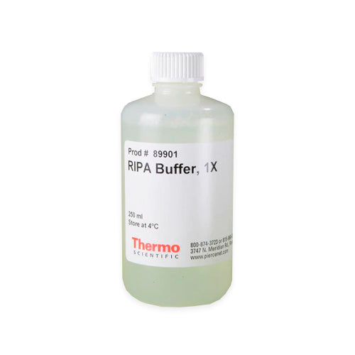 52939. RIPA BUFFER 250ML - PIERCE