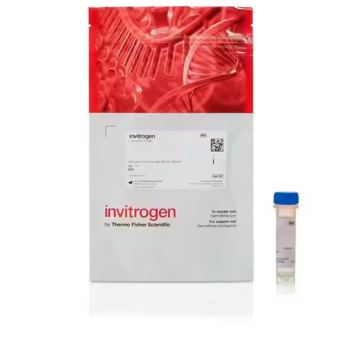 26818. ALEXA FLUOR 546 C5 MALEIMIDA 1MG INVITROGEN