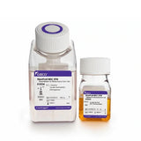 53420. STEMPRO MSC SFM KIT - GIBCO