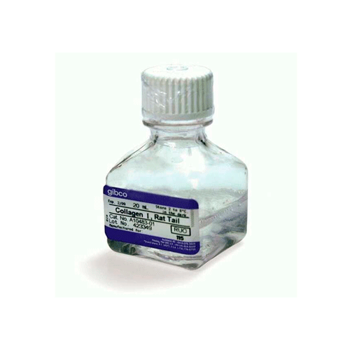 53706. COLLAGEN I, RAT TAIL 20ML GIBCO