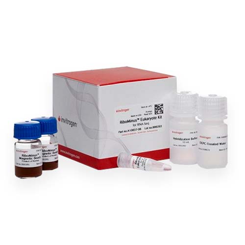 55725. RIBOMINUS EUKARYOTE KIT FOR RNA-SEQ 8 PREPS - INVITROGEN