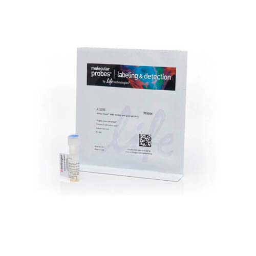 15768. DONKEY ANTI-GOAT IGG (H+L) CROSS-ADSORBED SECONDARY ANTIBODY ALEXA FLUOR 488 1MG - INVITROGEN