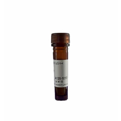 14618. GOAT ANTI-RABBIT IGG-HEAVY AND LIGHT CHAIN ANTIBODY BIOTINYLATED 1MG - BETHYL LABS