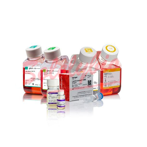 18055. SELECT ENZYME TRYPLE 10X100ML - INVITROGEN