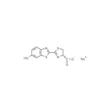 20954. ATP DETERMINATION KIT 200-1000 ASSAYS - INVITROGEN