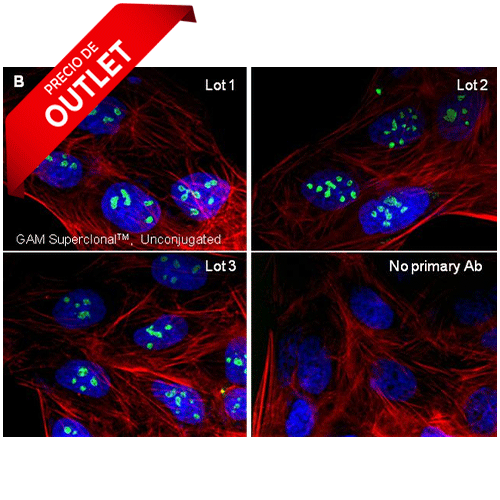 23342. GOAT ANTI-MOUSE IGG (H+L) SUPERCLONAL RECOMBINANT SECONDARY ANTIBODY 1MG INVITROGEN