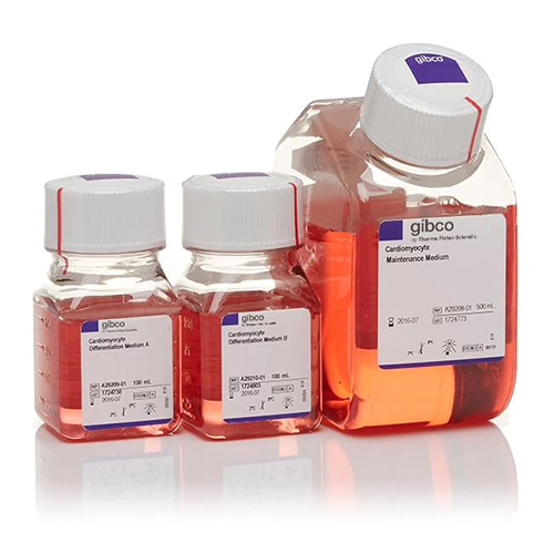 5936. KIT DE DIFERENCIACION DE CARDIOMIOCITOS PSC - GIBCO