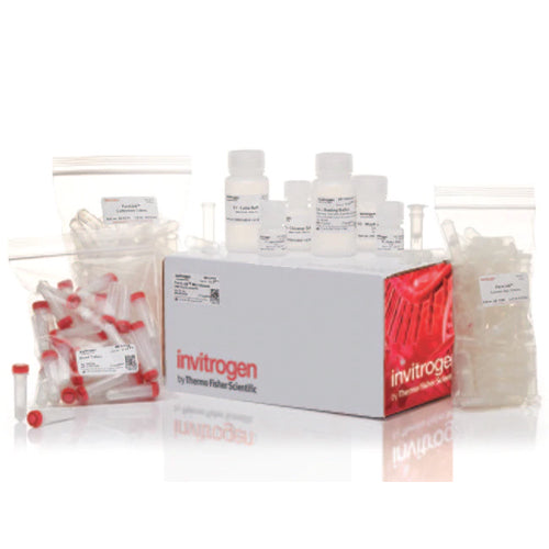 3555. KIT DE PURIFICACION DE ADN DE MICROBIOMA PURELINK - INVITROGEN