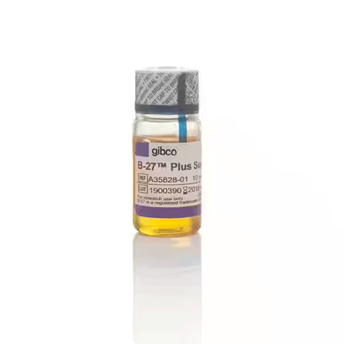26911. SUPLEMENTO B-27 PLUS (50X) 10ML GIBCO