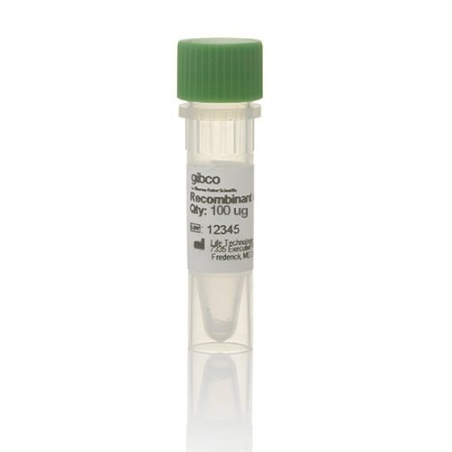 6377. LIF RECOMBINANT MOUSE PROTEIN EMBRYONIC STEM CELL-QUALIFIED 100UG - GIBCO