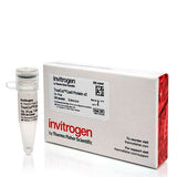 26808. PROTEINA CAS9 V2 TRUECUT 25UG INVITROGEN