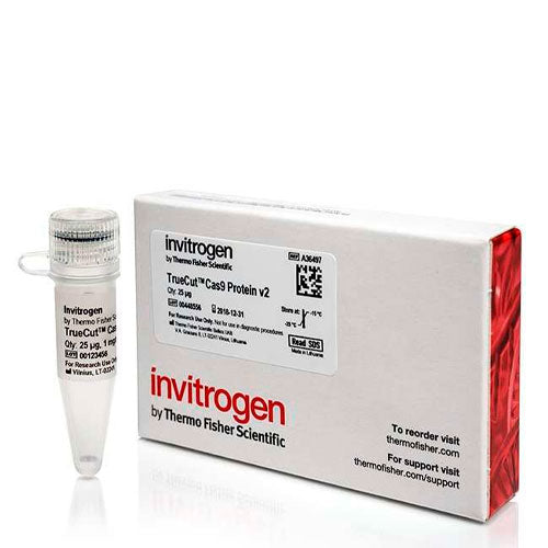 26808. PROTEINA CAS9 V2 TRUECUT 25UG INVITROGEN