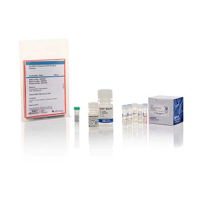 55435. KIT DE SECUENCIACION SANGER 200 REACCIONES - APPLIED BIOSYSTEMS