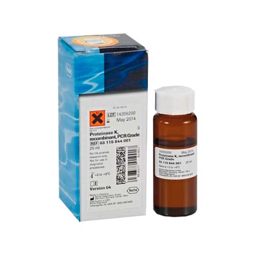 20365. PROTEINASA K VIRAL/PATOGENA MAGMAX 10ML - APPLIED BIOSYSTEMS