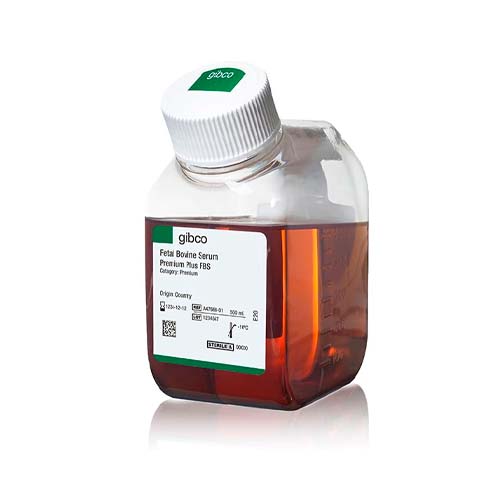 12365.SUERO FETAL BOVINO PREMIUM PLUS 500ML - GIBCO