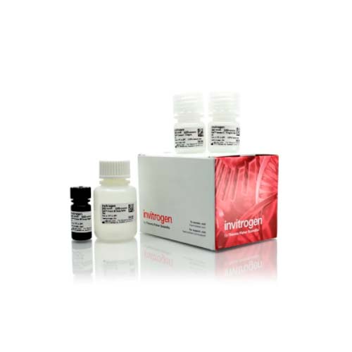 20947. PROTEIN AND PROTEIN BROAD RANGE (BR) ASSAY KIT QUBIT 100 ASSAYS - INVITROGEN