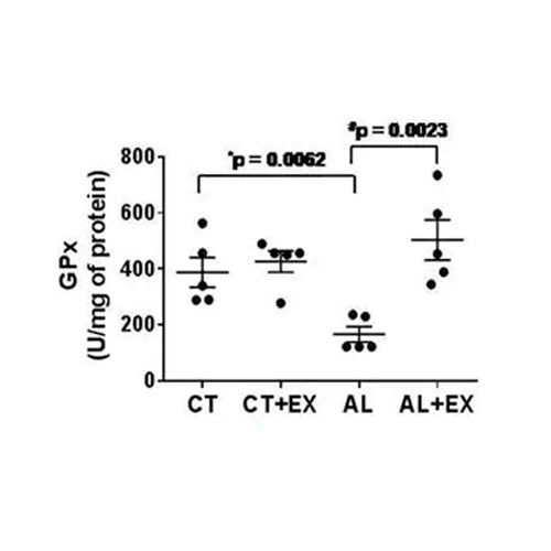 6873. GLUTATHIONE PEROXIDASE ASSAY KIT 100 TESTS - ABCAM