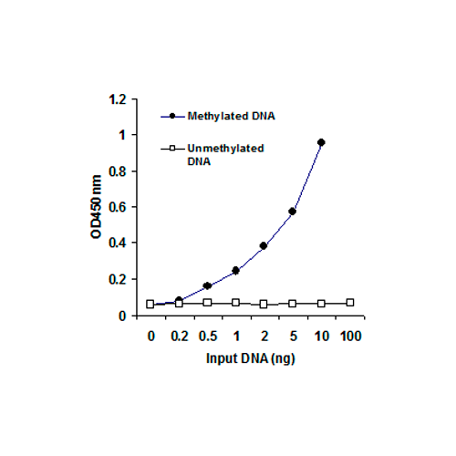 55755. METHYLATED DNA QUANTIFICATION KIT (COLORIMETRIC) 96 TESTS - ABCAM