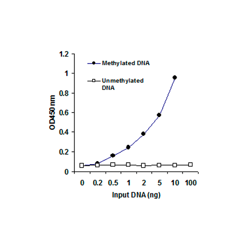 17764. METHYLATED DNA QUANTIFICATION KIT (COLORIMETRIC) 96 TESTS - ABCAM