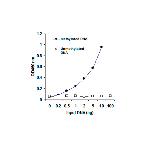 26467. METHYLATED DNA QUANTIFICATION KIT (COLORIMETRIC) 48 TESTS ABCAM