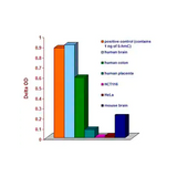 55753. HYDROXYMETHYLATED DNA QUANTIFICATION KIT COLORIMETRIC 96 TESTS - ABCAM
