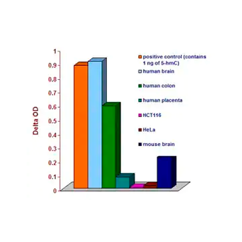 17765. HYDROXYMETHYLATED DNA QUANTIFICATION KIT COLORIMETRIC 96 TESTS - ABCAM