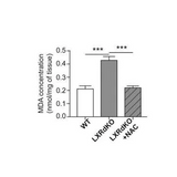 56873. LIPID PEROXIDATION (MDA) ASSAY KIT (COLORIMETRIC/FLUOROMETRIC 100 TESTS - ABCAM