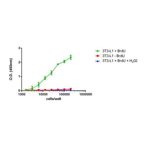 4623. BRDU CELL PROLIFERATION ELISA KIT (COLORIMETRIC) 200 TESTS ABCAM