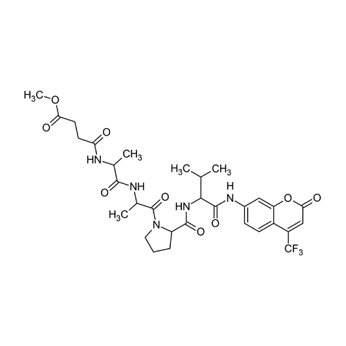 26515. ELASTASE SUBSTRATE FLUOROGENIC (MEOSUC-AAPV-AFC) 5MG ABCAM