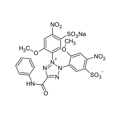 15740. XTT SODIUM SALT, TETRAZOLIUM SALT 100MG  - ABCAM