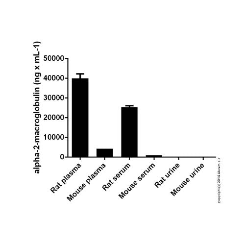 22781. RAT ALPHA 2 MACROGLOBULIN ELISA KIT 96 TESTS ABCAM