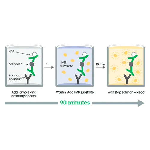 26420. HUMAN IP-10 ELISA KIT 1 X 96 TESTS ABCAM