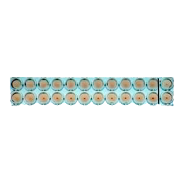 55749. INFLUENZA A VIRUS HEMAGGLUTININ H7 FULL LENGTH PROTEIN 50UG - ABCAM