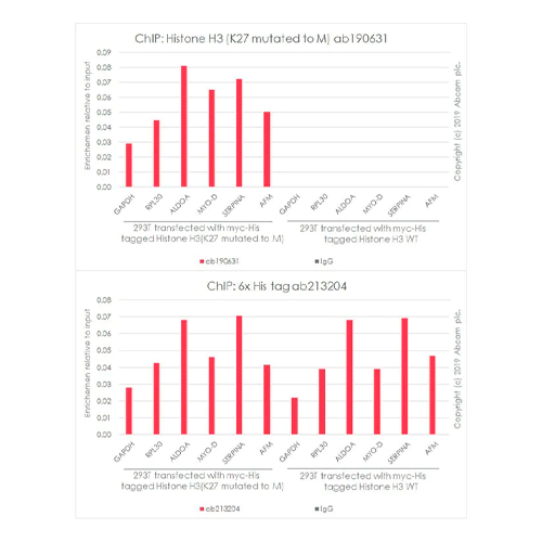 17802. RECOMBINANT ANTI-HISTONE H3 MUTATED K27M ANTIBODY (EPR18340) CHIP GRADE 100UL - ABCAM