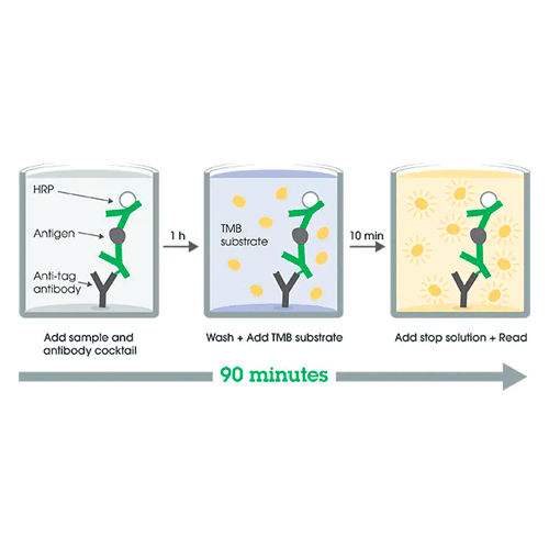 26398. HUMAN FOLLISTATIN ELISA KIT 1 X 96 TESTS ABCAM