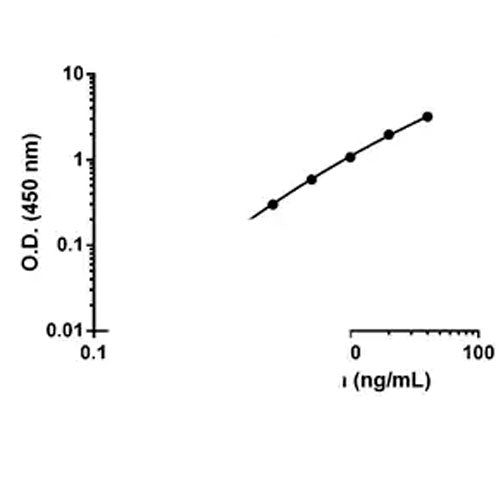 56864. HUMAN VE CADHERIN ELISA KIT 1X96 TESTS ABCAM