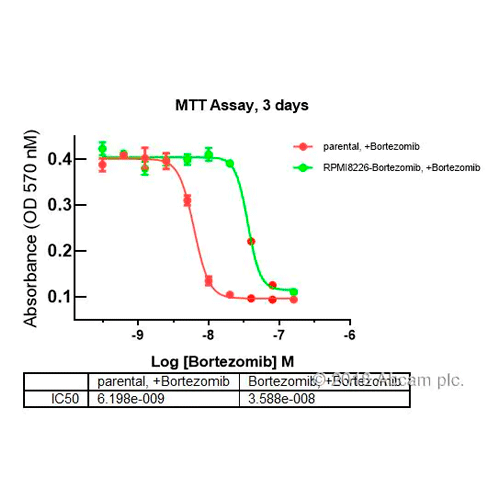 5540. MTT ASSAY KIT (CELL PROLIFERATION) 1000 TESTS - ABCAM