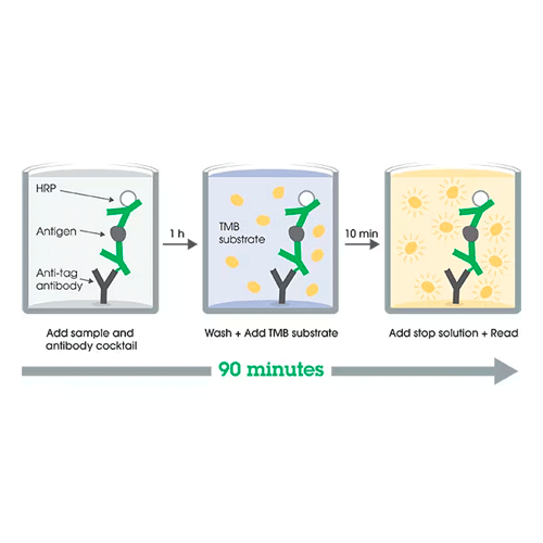 26413. HUMAN IL-8 ELISA KIT 1 X 96 TESTS ABCAM