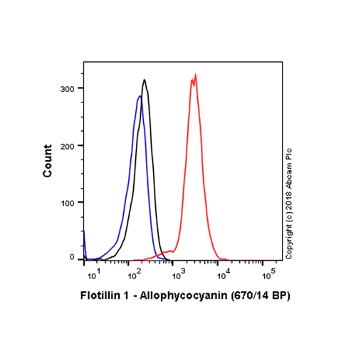 26438. RECOMBINANT APC ANTI-FLOTILLIN 1 ANTIBODY (EPR6041) 100UL ABCAM