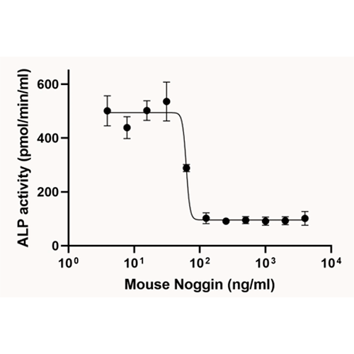 26508. RECOMBINANT MOUSE NOGGIN PROTEIN (ACTIVE) 10UG ABCAM