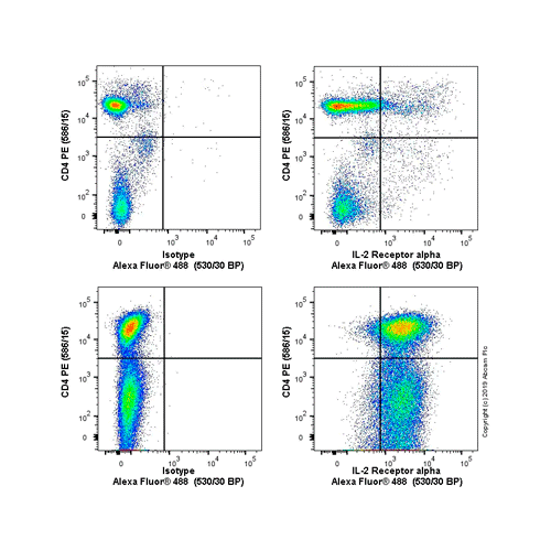 26473. ANTI-IL-2 RECEPTOR ALPHA ANTIBODY (OX39) 100UG ABCAM