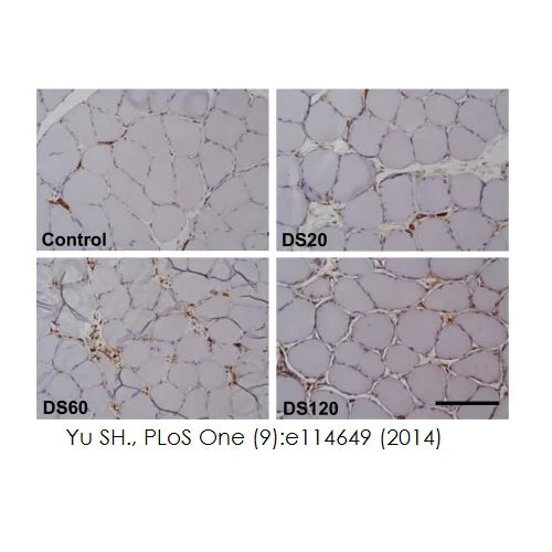 4615. MOUSE AND RABBIT SPECIFIC HRP/DAB (ABC) DETECTION IHC KIT - ABCAM